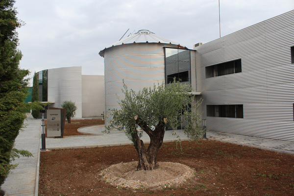 Villarta de San Juan offices